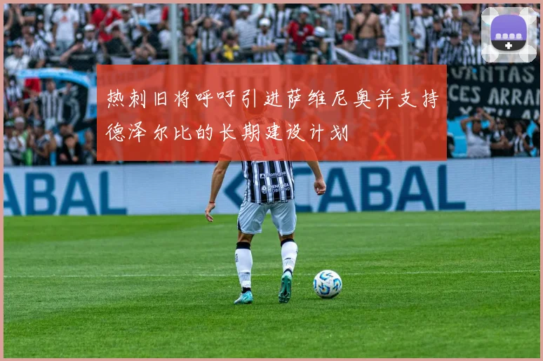 热刺旧将呼吁引进萨维尼奥并支持德泽尔比的长期建设计划
